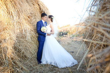 Young bride and groom, walk in the nature, on a farm, beach wedd