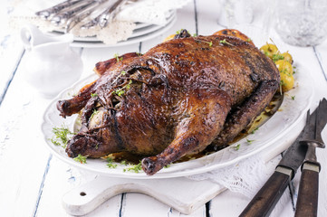Stuffed Christmas Duck