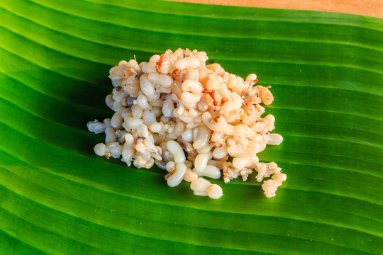 Red ant eggs