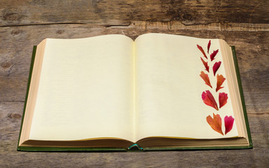 open book and pressed flower