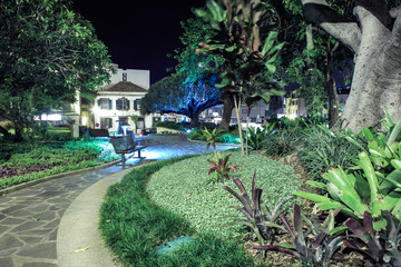 tropical park by night