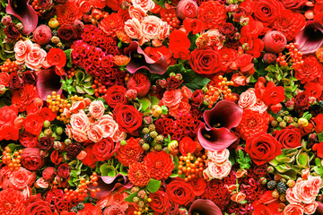 Naklejka premium Abstract background of flowers. Close-up.