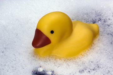 Rubber Duck in a Bathtub