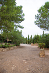 Gravel road with trees in park.