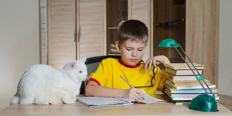Happy boy doing homework with cat and books on table. Education