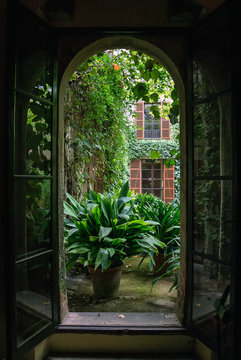 View From Open Window To The Garden.