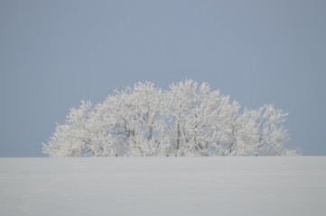 Fototapeta na wymiar einsamer Insel im Winter