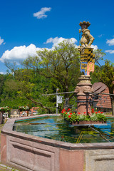Obraz premium Marktbrunnen Wildberg