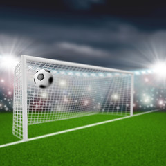 soccer ball flies into the goal