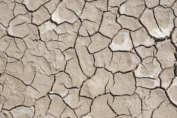 Dry soil