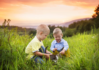 Little boys having fun on a meadow