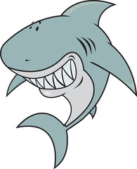 Great white shark isolated on white