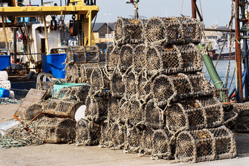 Crayfish traps in harbor, Ireland