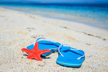 flip flops and red starfish by the sea