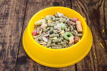 forage for a rabbit in a bowl
