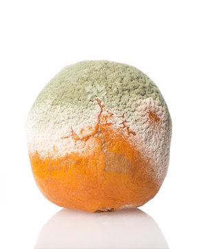 Rotten Orange