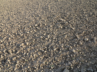 Frisch geeggter Acker