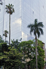 Fototapeta na wymiar Modern building with glass facade