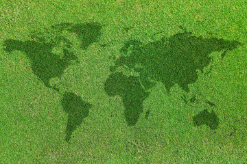 world map on green grass field