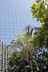 Fototapeta na wymiar Modern building with glass facade