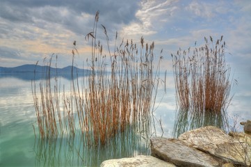 contatto con la natura