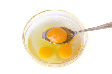 egg yolk