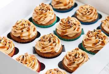 Boxed caramel cupcakes set