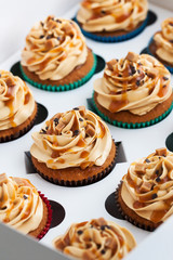 Boxed caramel cupcakes set