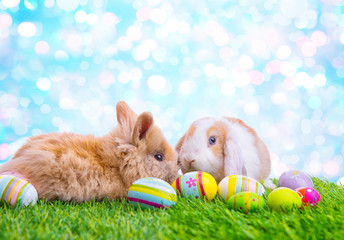 Ostern in der Natur mit Hasen