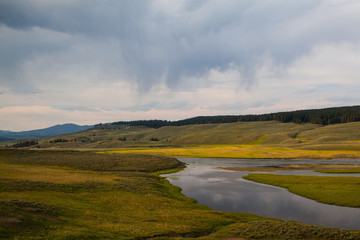 Hayden Valley - landscape of American Bison © Radomir Rezny
