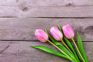 Beautiful pink tulips on wooden planks background