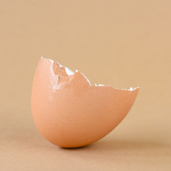 Broken and cracked egg shell on background