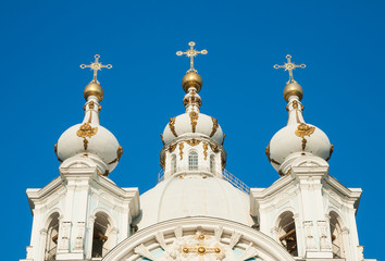 Fototapeta na wymiar Dome of the Smolny Cathedral