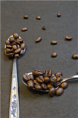 Coffe beans in steel spoons