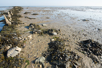 Wadden sea in Holland