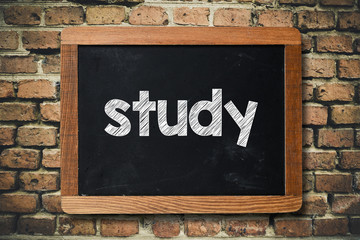 Obraz premium Study word on Blackboard on bricks wall