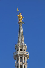 Fototapeta na wymiar Duomo di Milano: la guglia della Madonnina