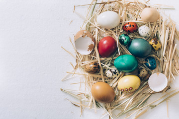 Colorful Easter eggs in the nest with blank space