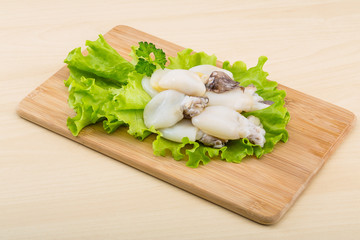 Raw cuttlefish