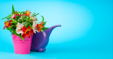 alstroemeria in bucket and watering can