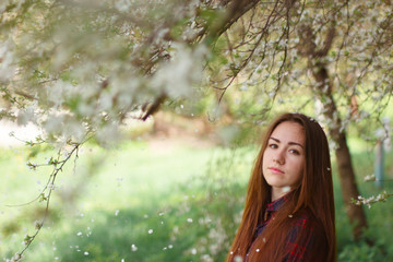 Fototapeta na wymiar Portrait of beautiful girl under flowering cherry tree