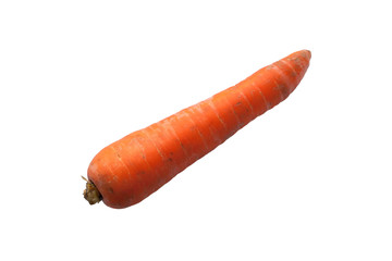 carrot