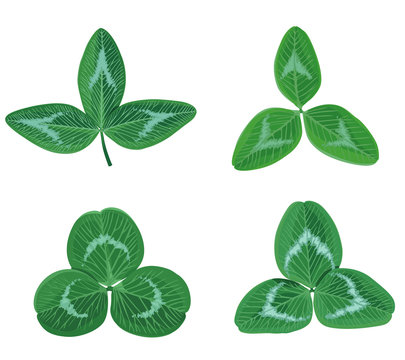 Set Of Clovers Leaf Trefoil