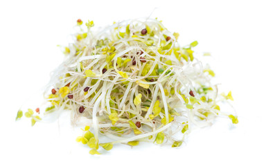 Broccoli Sprouts isolated on white