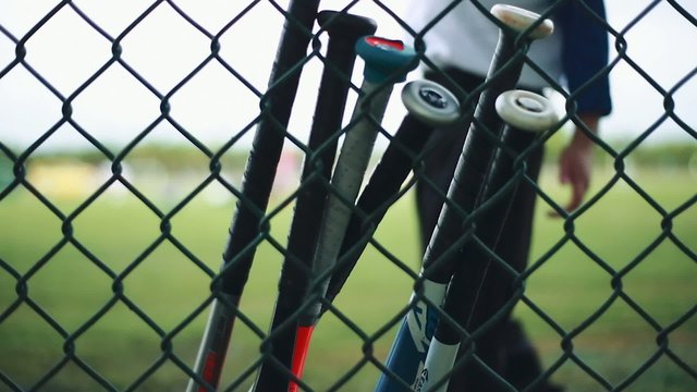 Baseball Bats leaning against Fence at Baseball Park