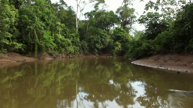 Traveling up Rio Shiripuno deep in the rainforest, Ecuad