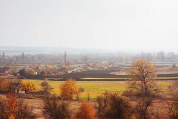 Autumn rural landscape in mist