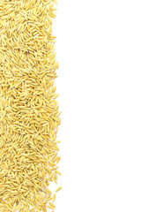 Yellow paddy jasmine rice