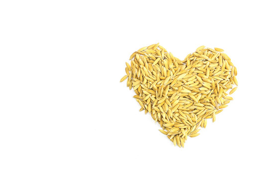 Yellow paddy jasmine rice