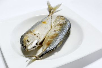 Mackerel fish isolated on a white background